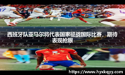bsports登录入口