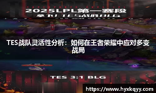 TES战队灵活性分析：如何在王者荣耀中应对多变战局