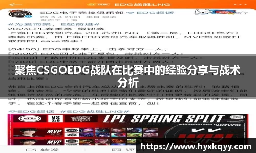 bsports登录入口